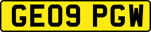 GE09PGW