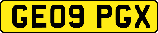 GE09PGX
