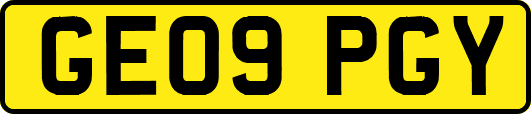GE09PGY