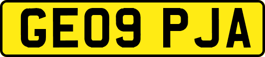GE09PJA