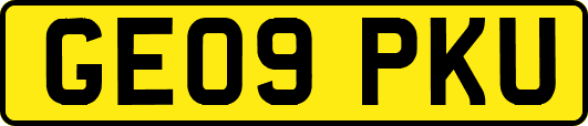 GE09PKU
