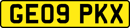 GE09PKX