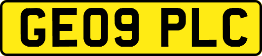 GE09PLC