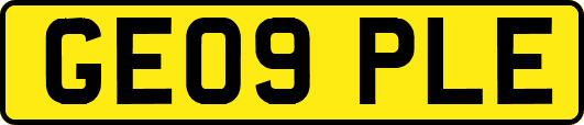 GE09PLE