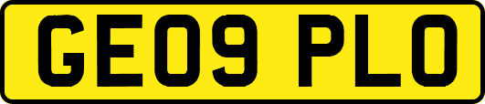 GE09PLO