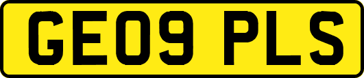 GE09PLS