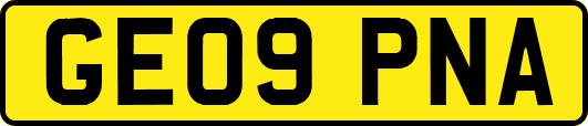 GE09PNA