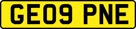 GE09PNE