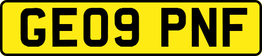 GE09PNF