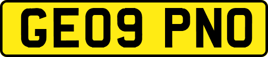 GE09PNO
