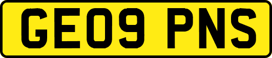 GE09PNS