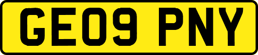 GE09PNY