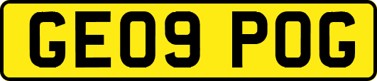 GE09POG
