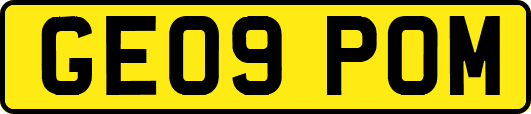 GE09POM