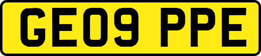 GE09PPE