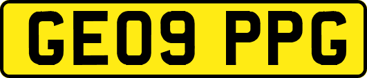 GE09PPG