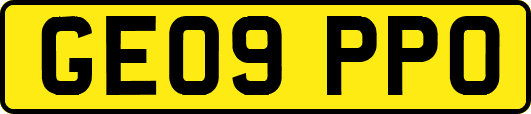 GE09PPO