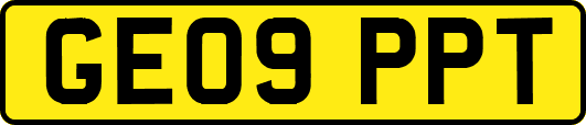 GE09PPT