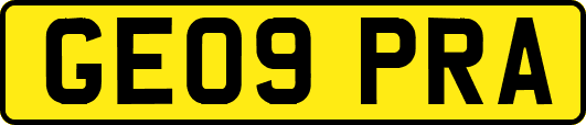 GE09PRA