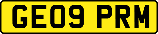 GE09PRM