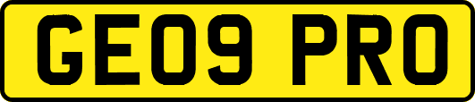 GE09PRO