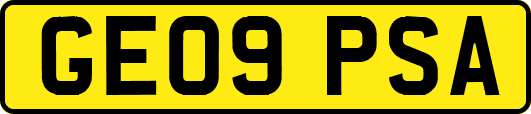 GE09PSA