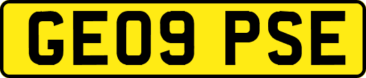 GE09PSE