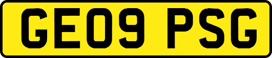GE09PSG