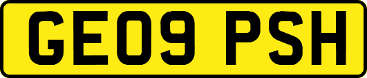 GE09PSH