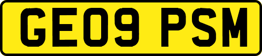 GE09PSM