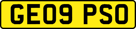 GE09PSO