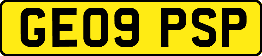 GE09PSP