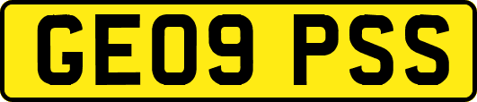 GE09PSS