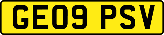 GE09PSV
