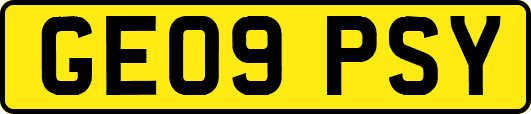 GE09PSY