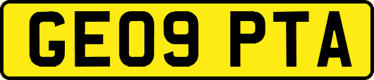 GE09PTA