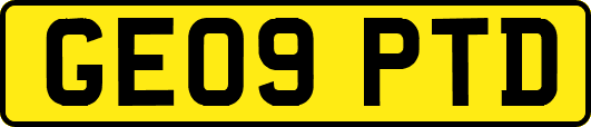 GE09PTD