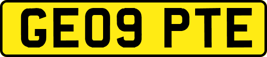 GE09PTE