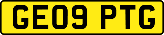 GE09PTG