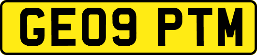 GE09PTM