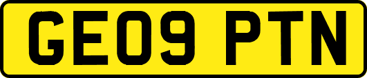 GE09PTN