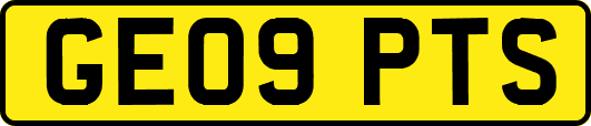 GE09PTS