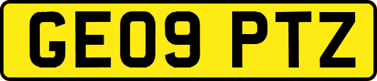GE09PTZ