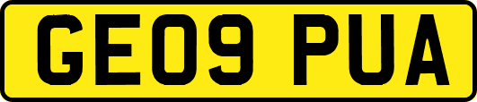 GE09PUA