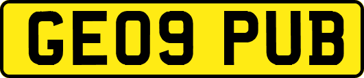 GE09PUB