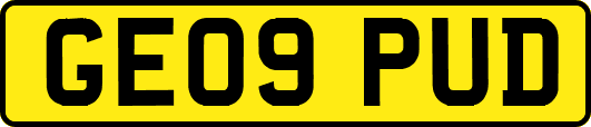 GE09PUD