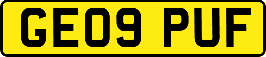 GE09PUF