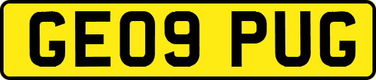 GE09PUG
