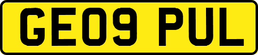 GE09PUL