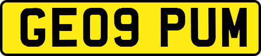GE09PUM